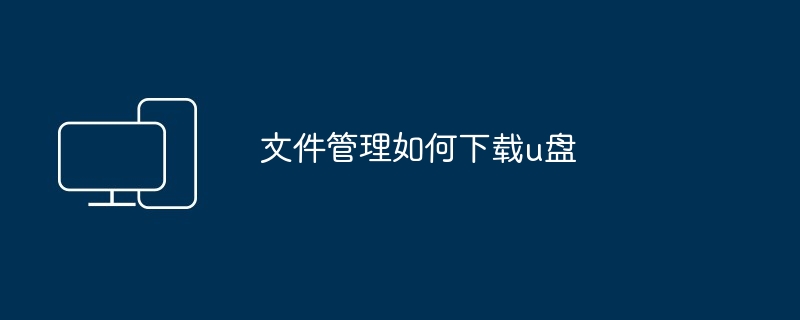 2024年文件管理如何下载u盘