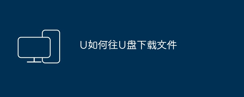 2024年U如何往U盘下载文件