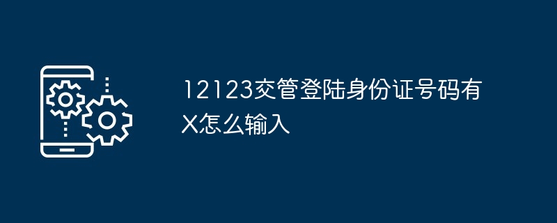 2024年12123交管登陆身份证号码有X怎么输入