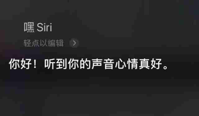 设置了嘿siri无法使用-苹果手机siri故障解决指南