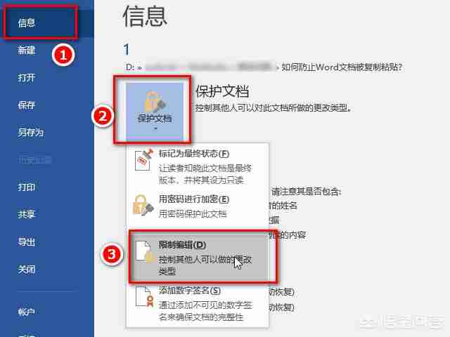 如何防止Word文档被复制粘贴-保护文档安全技巧