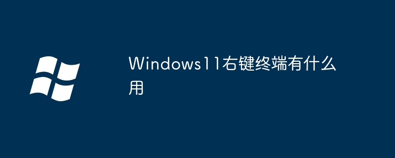 Windows11右键终端功能解析