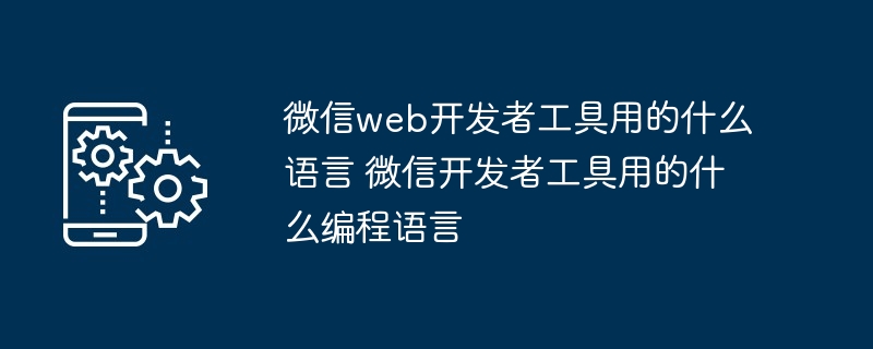 微信web开发者工具编程语言揭秘