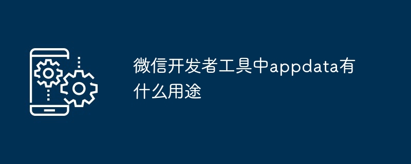 微信开发者工具appdata用途揭秘