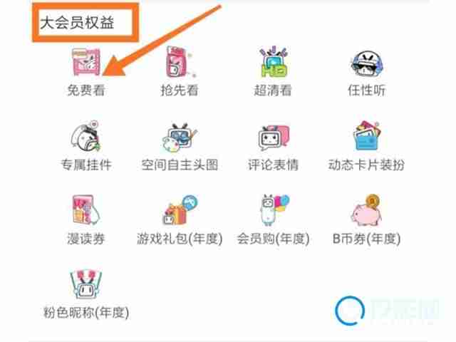 哔哩哔哩大会员权益揭秘