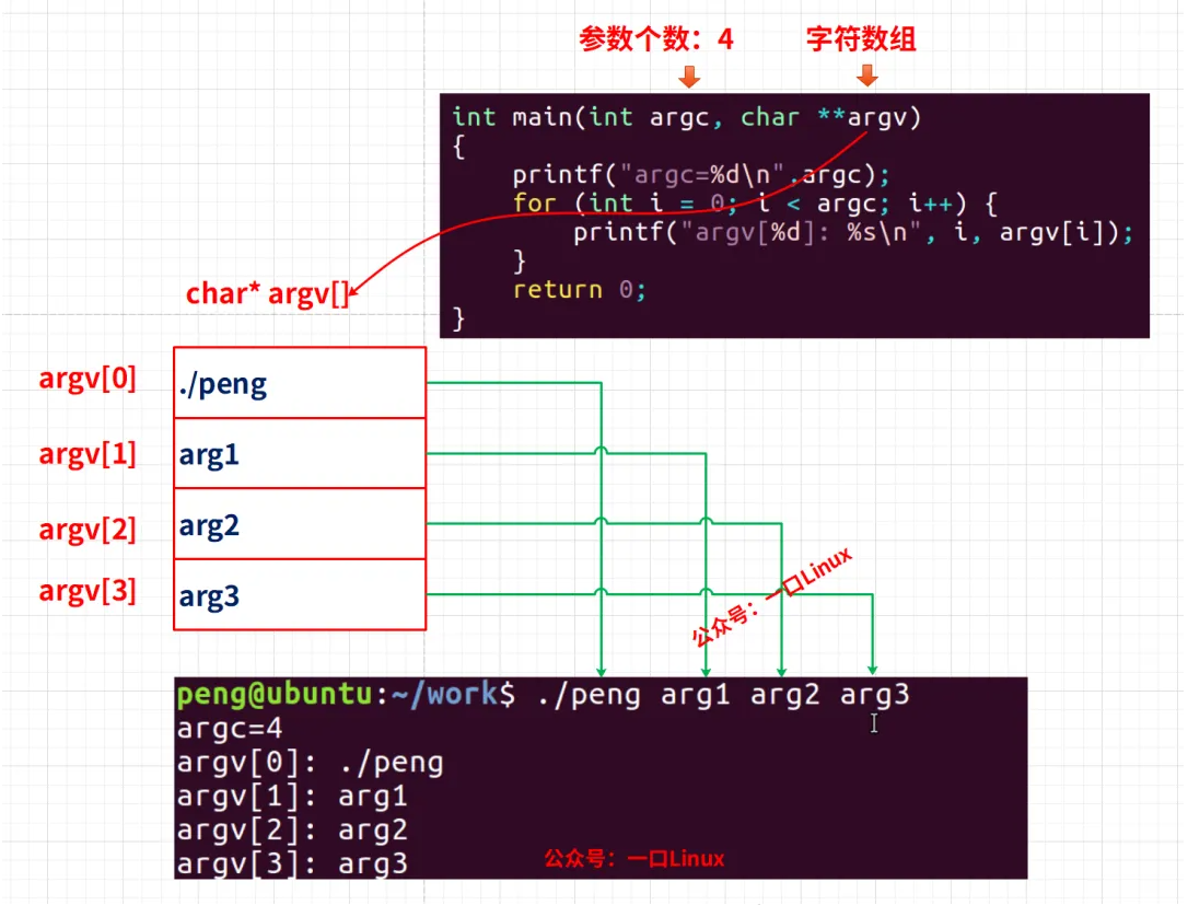 Linux可变参数与选项全解析