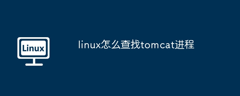 Linux快速查找Tomcat进程技巧