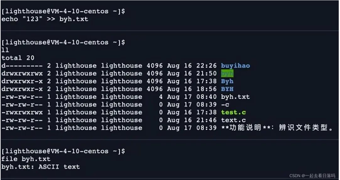 Shell运行原理与Linux权限解析