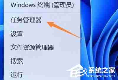 Win11开机启动项查看技巧