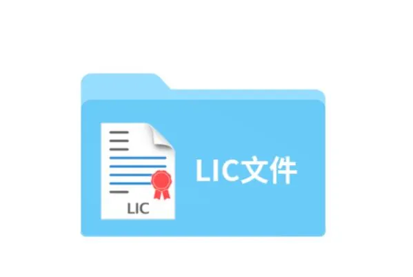 lic文件格式解析与用途揭秘