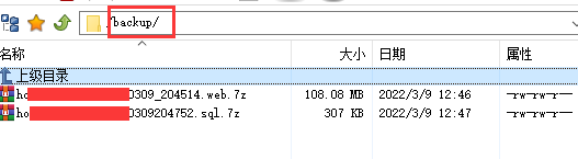 虚拟主机数据备份技巧揭秘