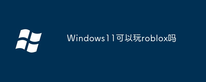 Windows11畅玩roblox攻略