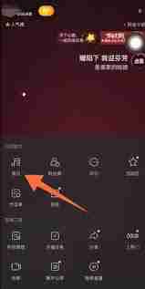 抖音直播音乐播放技巧揭秘
