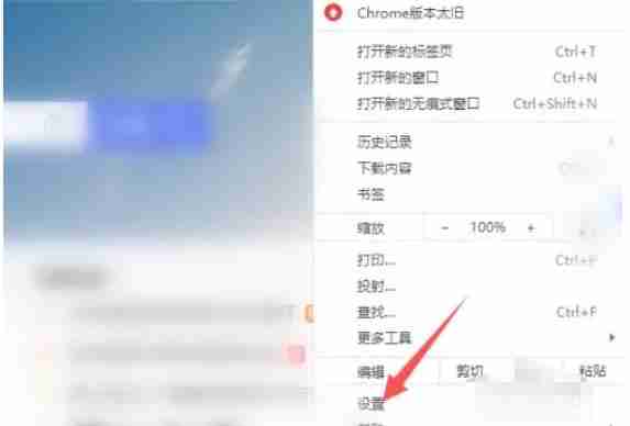 Google浏览器中文设置教程