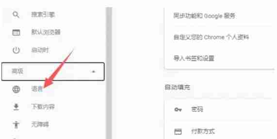 Google浏览器中文设置教程