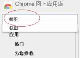 Google浏览器截图技巧全解析