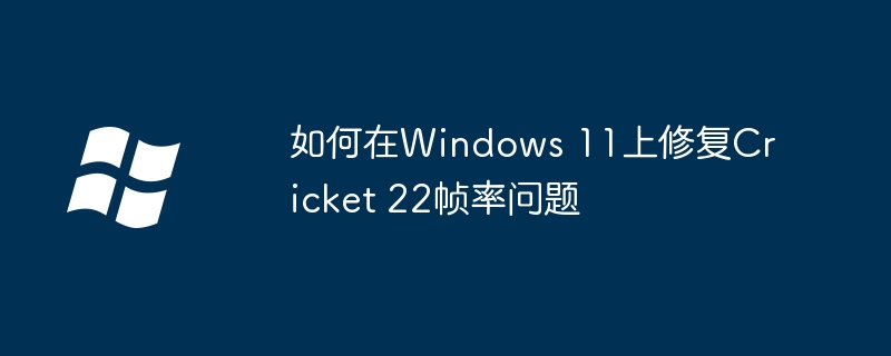 2024如何在Windows 11上修复Cricket 22帧率问题