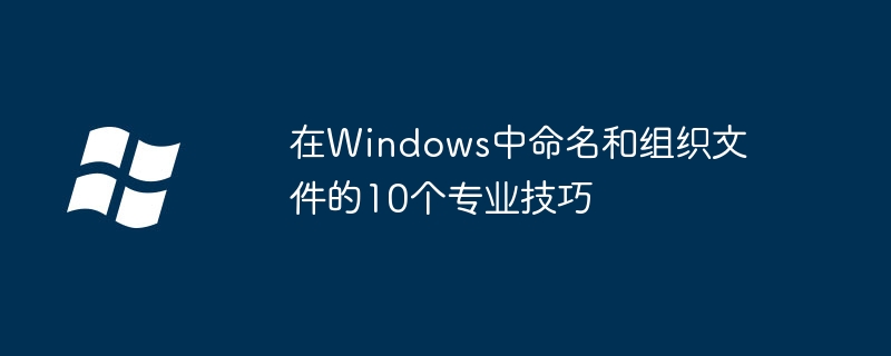 2024在Windows中命名和组织文件的10个专业技巧