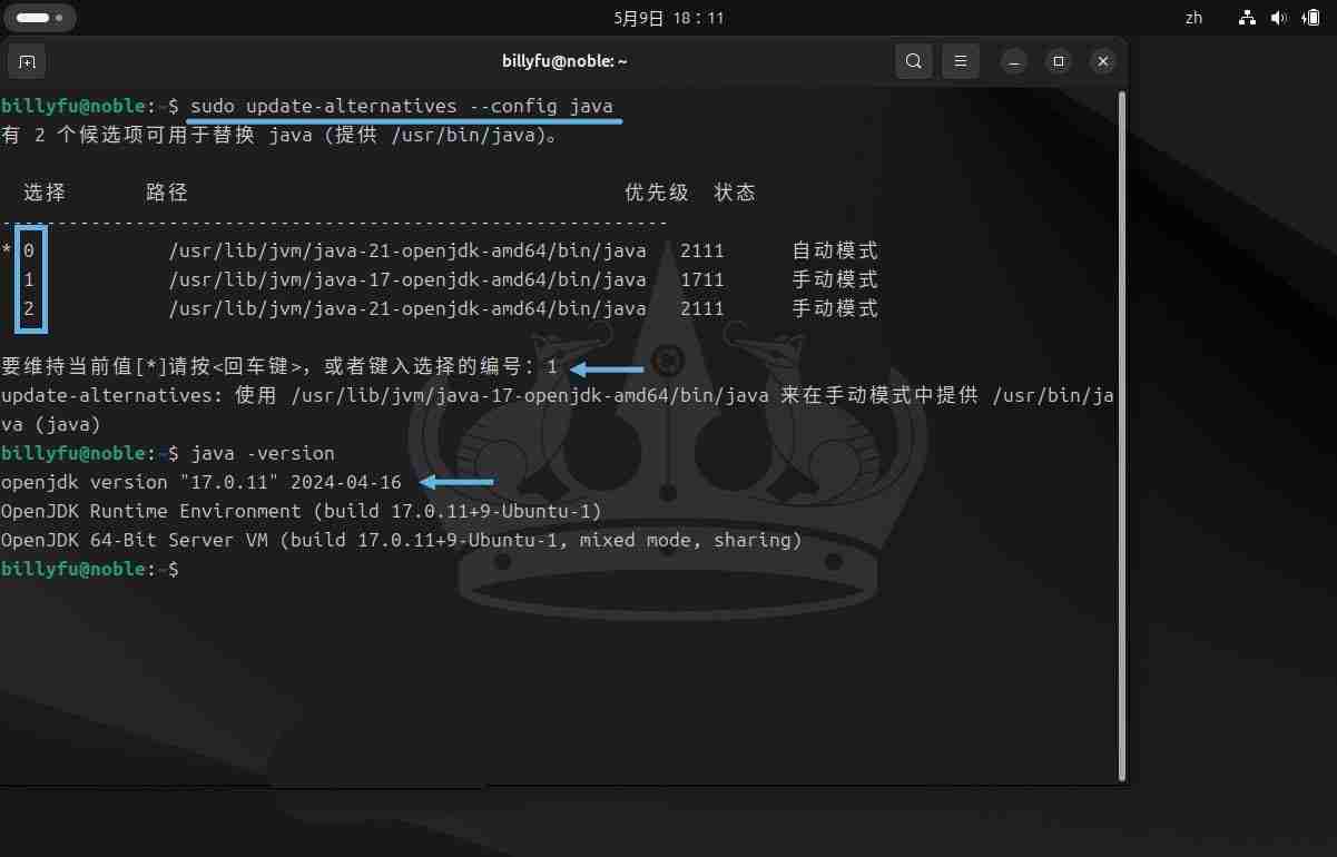 2024Ubuntu 24.04 LTS怎么安装和卸载Java?