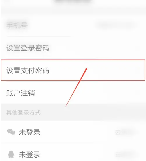 2024必要app在哪设置支付密码