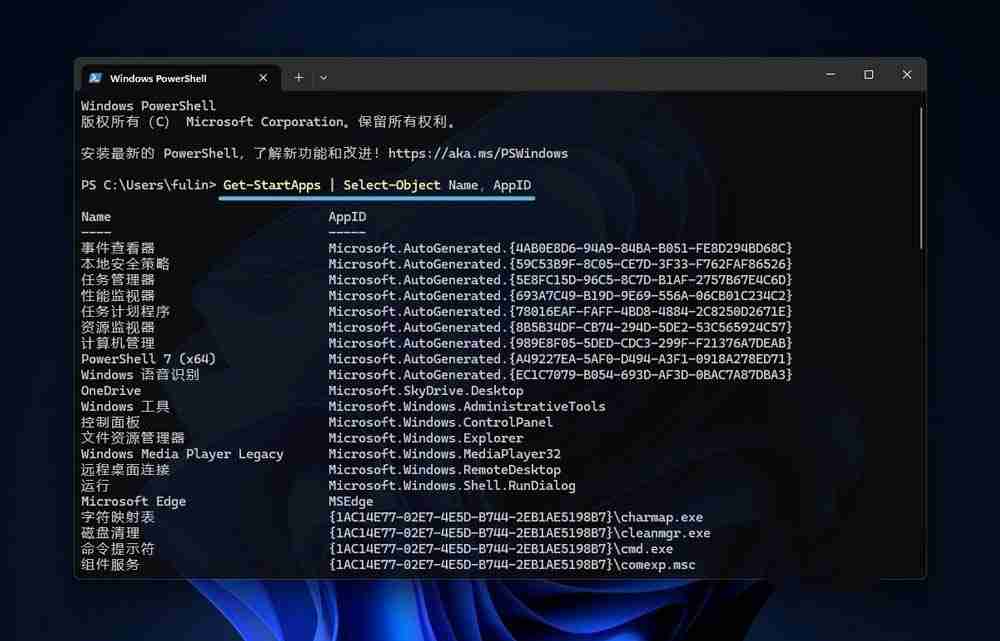 2024Win11怎么查看应用程序 AppID?