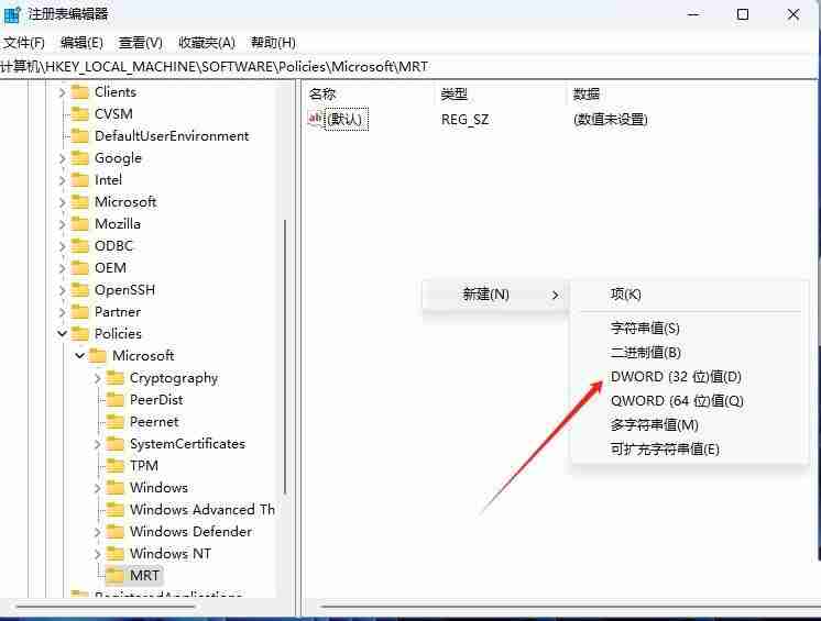 2024Win11怎么清除恶意软件? win11注册表清理软件的技巧