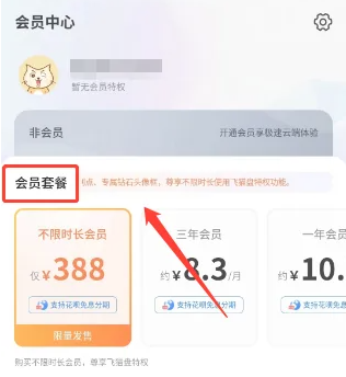 2024飞猫盘如何开通会员