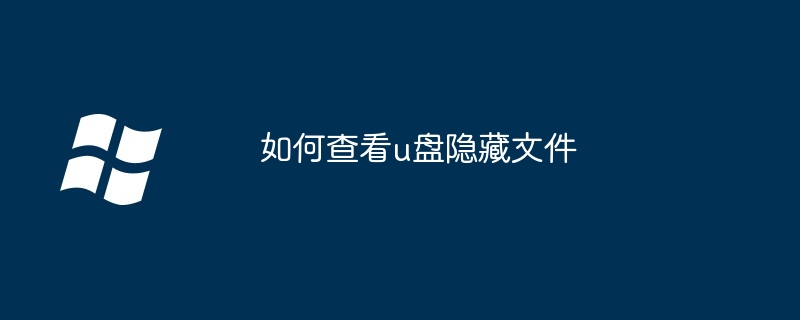 2024如何查看u盘隐藏文件