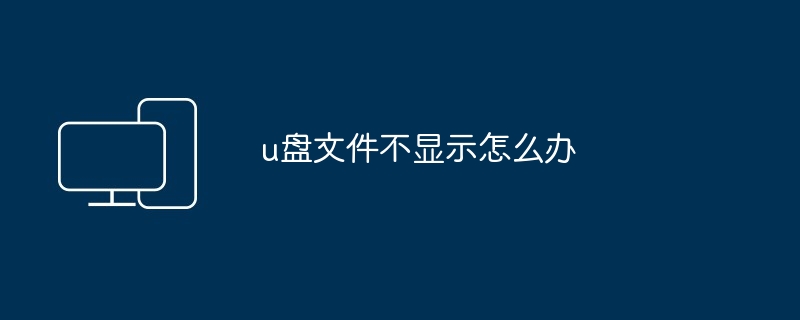 2024u盘文件不显示怎么办