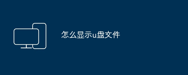 2024怎么显示u盘文件