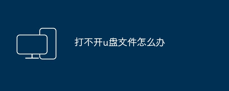 2024打不开u盘文件怎么办