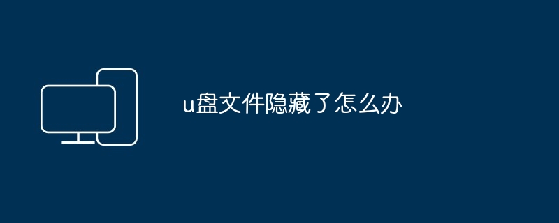 2024u盘文件隐藏了怎么办