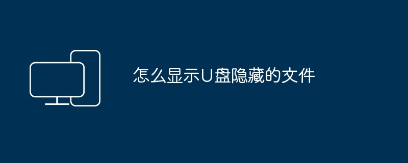 2024怎么显示U盘隐藏的文件