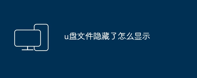 2024u盘文件隐藏了怎么显示