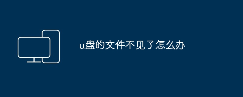 2024u盘的文件不见了怎么办