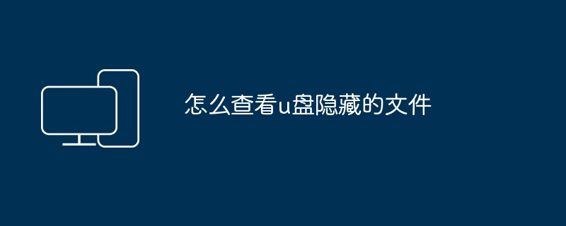 2024怎么查看u盘隐藏的文件