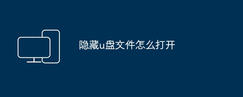 2024隐藏u盘文件怎么打开