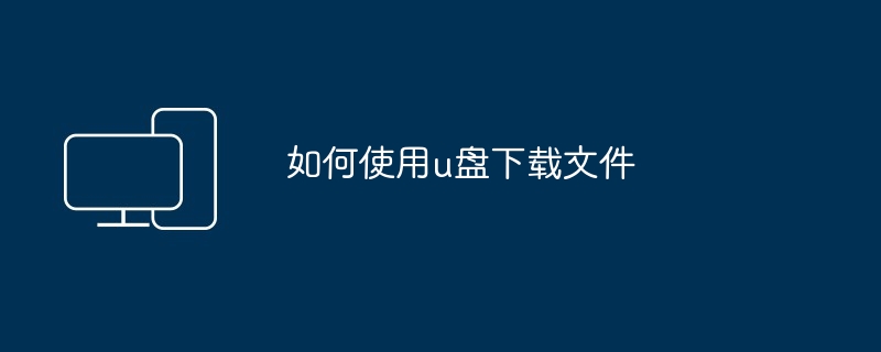 2024如何使用u盘下载文件