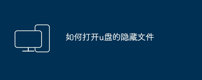 2024如何打开u盘的隐藏文件