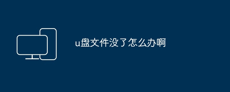 2024u盘文件没了怎么办啊