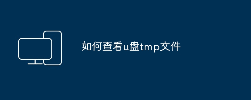 2024如何查看u盘tmp文件