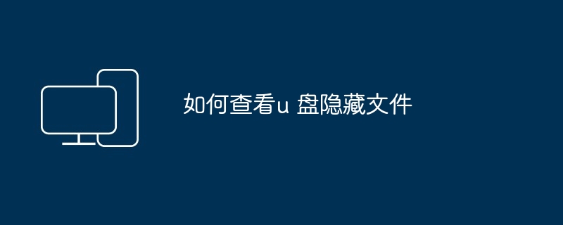 2024如何查看u 盘隐藏文件