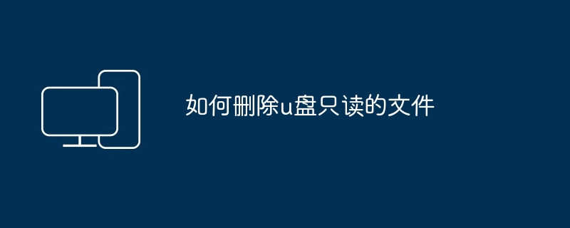 2024如何删除u盘只读的文件