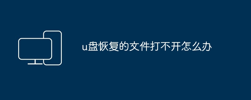 2024u盘恢复的文件打不开怎么办