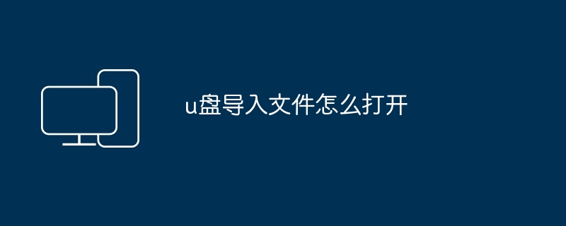 2024u盘导入文件怎么打开