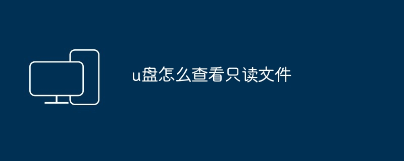 2024u盘怎么查看只读文件