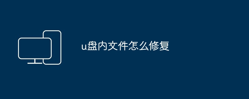 2024u盘内文件怎么修复