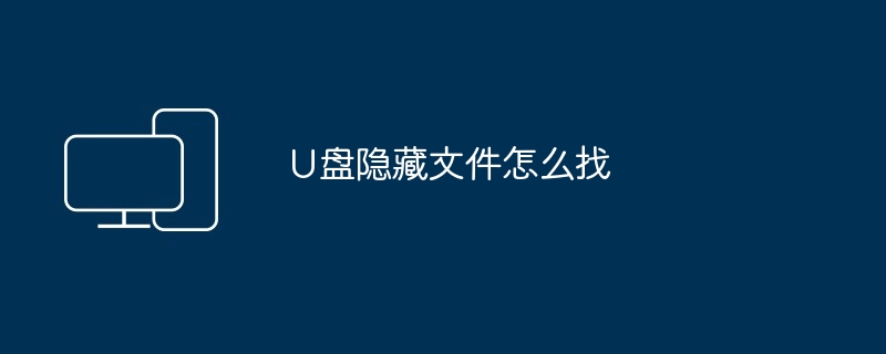 2024U盘隐藏文件怎么找