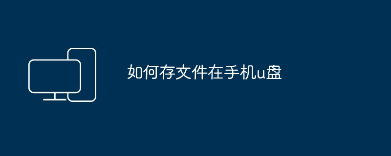 2024如何存文件在手机u盘