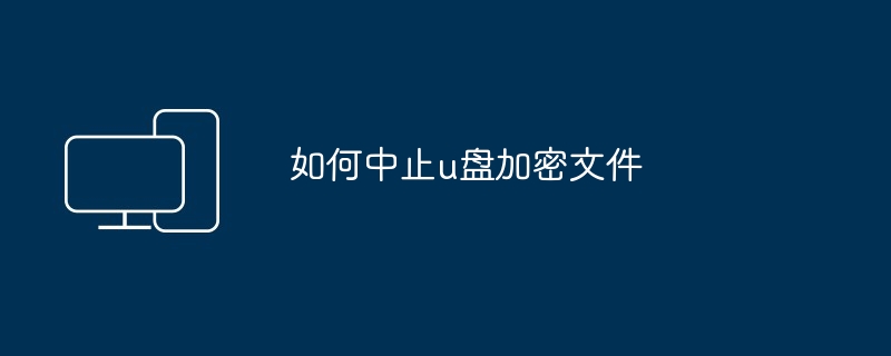 2024如何中止u盘加密文件